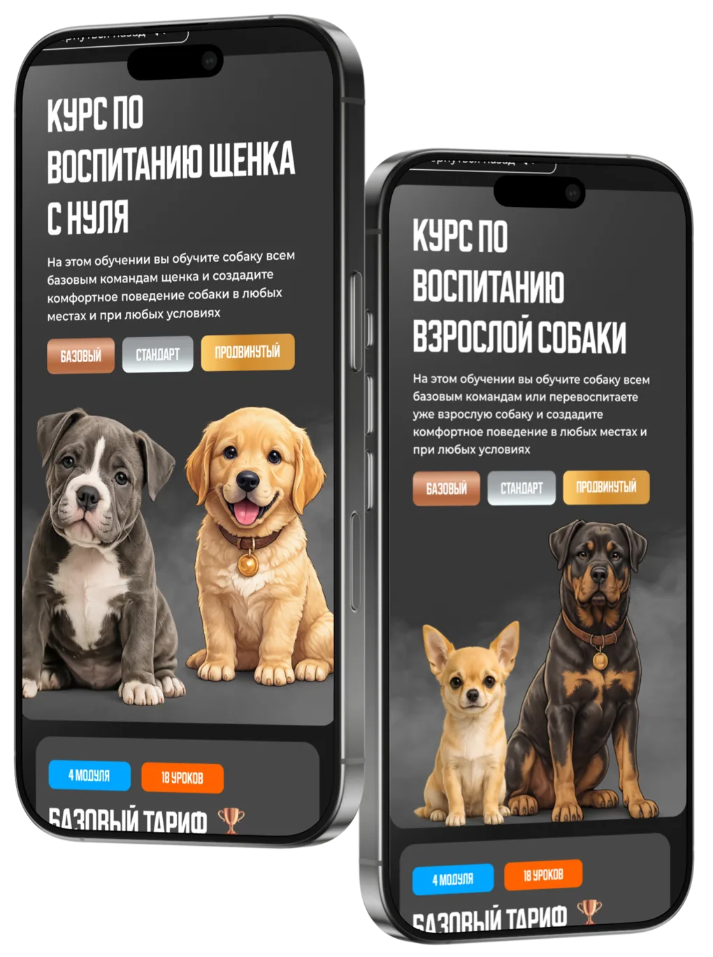 Дрессировка собак