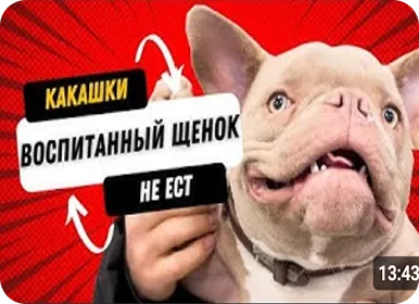 Видео с YouTube